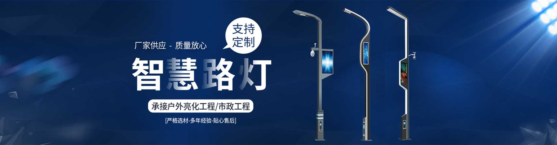 滨江区太阳能路灯定制厂家