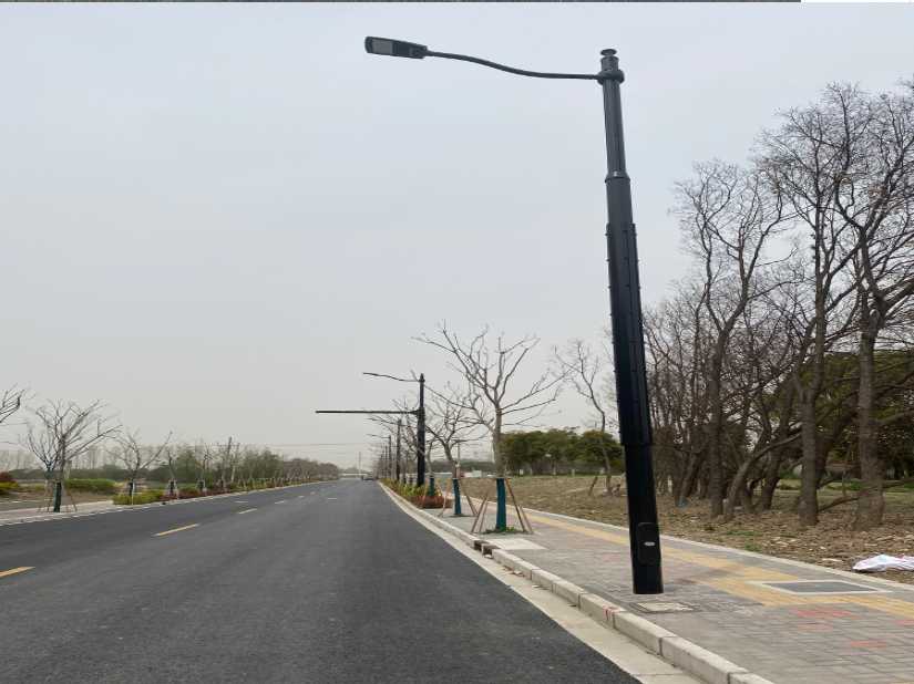 滨江区上海综合杆 太阳能路灯工程